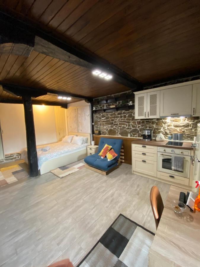 Studio Spring Villa Veliko Tŭrnovo Eksteriør bilde