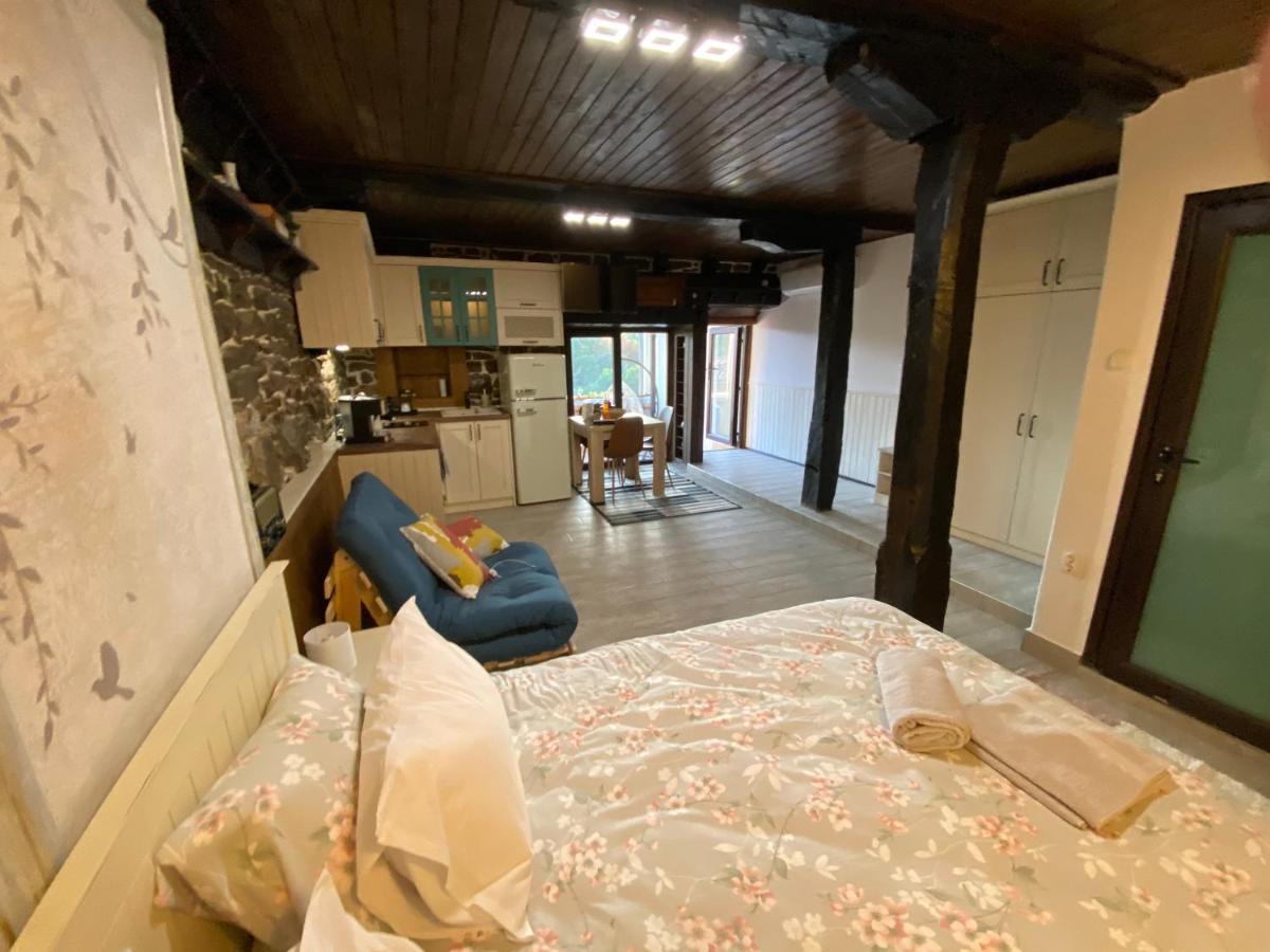 Studio Spring Villa Veliko Tŭrnovo Eksteriør bilde